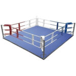 Training ring with floor